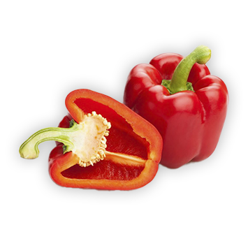 Bell pepper